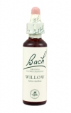 Willow (Žlutá vrba)
